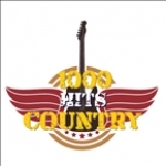 1000 HITS Country United States