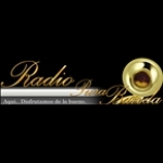 RADIO PURA BANDA Mexico