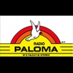 Radio Paloma Chile, Talca