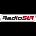 Radio SLR Denmark, Hong