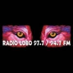 Radio Lobo NM, Pecos