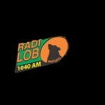 Radio Lobo Bajío Mexico, Irapuato