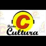 Radio Cultura FM Brazil, Arvorezinha