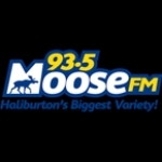 Moose FM Canada, Haliburton