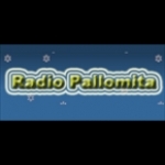 Radio Pallomita Netherlands, Hilversum