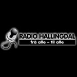 Radio Hallingdal Norway, Hol
