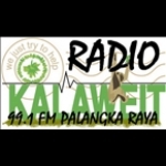 Kalaweit Radio Indonesia, Palangka Raya