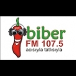 Biber FM Turkey, Eskisehir
