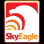 SkyEagle TV AZ, Tonto Basin