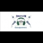 Radio Dinastia FM Chile, Cauquenes