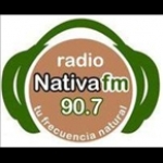 Radio Nativa FM Chile, Neltume
