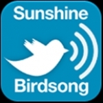 Sunshine Birdsong Ireland, Ashford