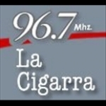 FM La Cigarra Argentina, Salta