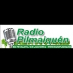 Radio Pilmaiquen Chile, Valdivia