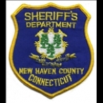 Greater New Haven Police CT, New Haven