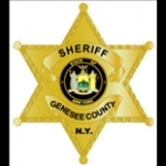 Genesee County Sheriff, and LeRoy Police NY, Batavia