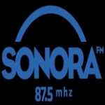 Radio Sonora 87.5 FM Brazil, Farroupilha