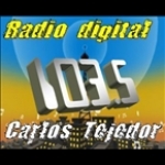 Radio Digital Argentina, Tejedor