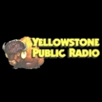 Yellowstone Public Radio WY, Buffalo