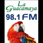 Guacamaya FM Guatemala, Flores