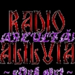 Radio Aliluia Romania, Vaslui