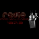 Radio Promaucaes Chile, Machali