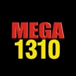 Mega 1310 MA, Worcester