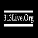 313 Live.Org MI, Detroit
