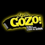 Radio Gozo TX United States