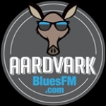 Aardvark Blues FM TX, West Columbia