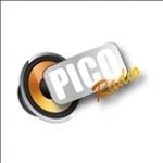 PicoRadio Spain