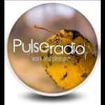 Pulse Radio Ukraine, Kiev