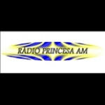 Rádio Princesa Brazil, Lages