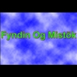 Fyndin og Mistök Iceland