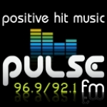 Pulse FM MI, Dowagiac