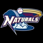 NW Arkansas Naturals Baseball Network AR, Springdale