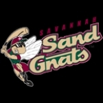 Savannah Sand Gnats Baseball Network GA, Savannah