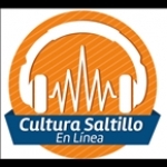 CulturaSaltillo en Línea Mexico, Saltillo