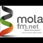 MolaFM.Net Turkey