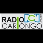 radio cariongo RCN Colombia