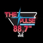 The Pulse AZ, Chandler