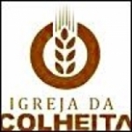 Radio da colheita Brazil