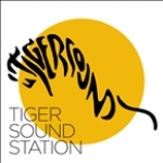 Tiger Sound Station Italy
