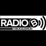 Radio Bukalemun Turkey