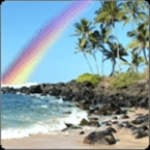 Hawaiian Rainbow CA, Chico