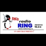 Radio Ring Romania, Medias