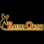 Radio Okapi DR Congo, Kinshasa