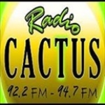 Radio Cactus France, Semur-en-Brionnais