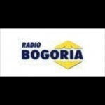 Radio Bogoria Poland, Grodzisk Mazowiecki