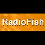 Radiofish United Kingdom, Lincoln